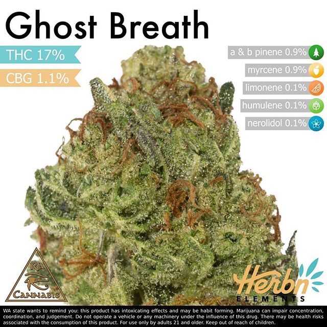 Herbn Elements – Lake City, Seattle Website