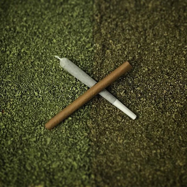 The Releaf Clinic Website