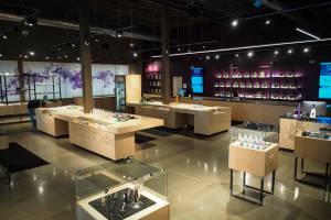 Altitude East Denver Website