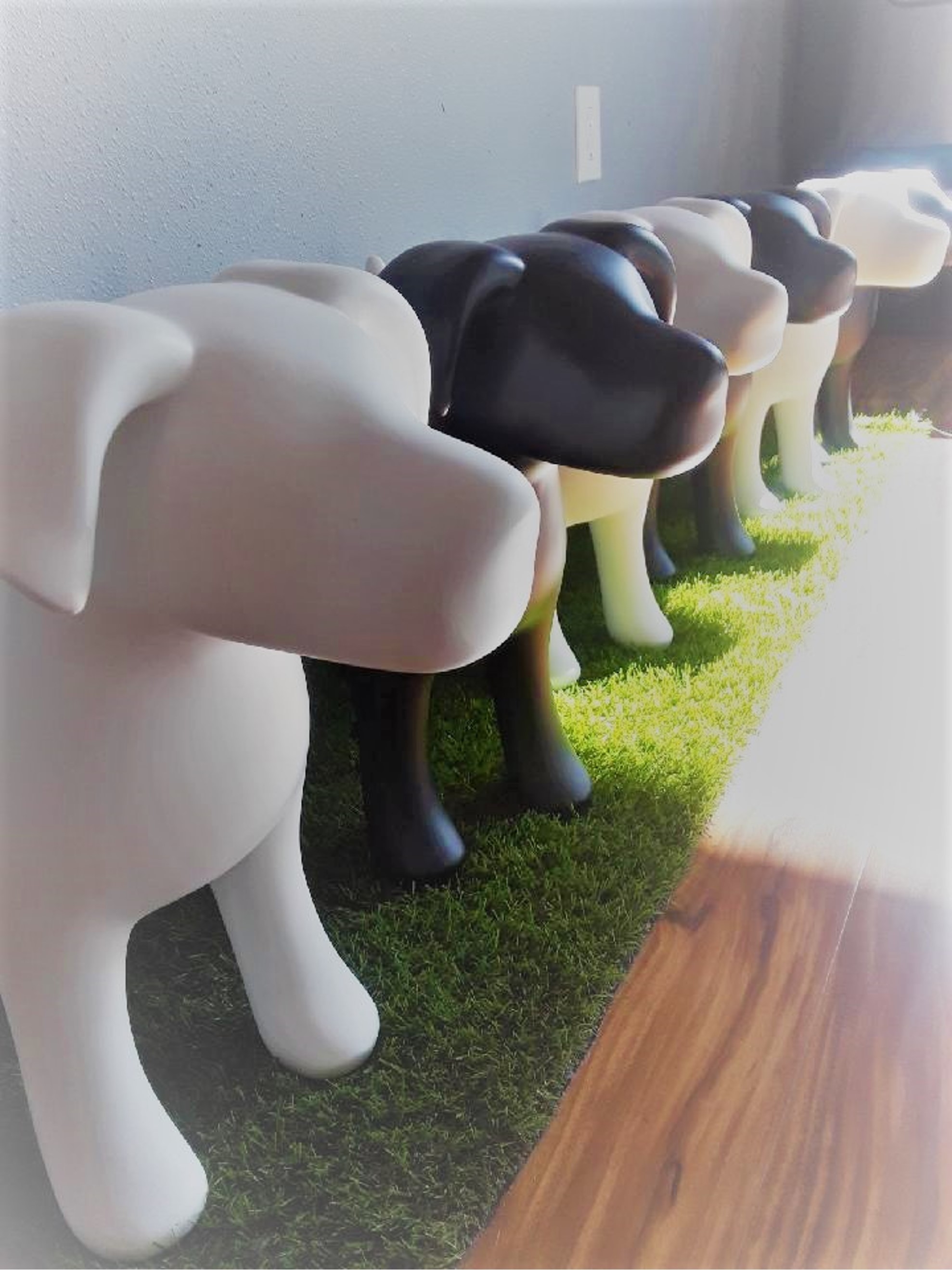 The Gallery - Fife Website