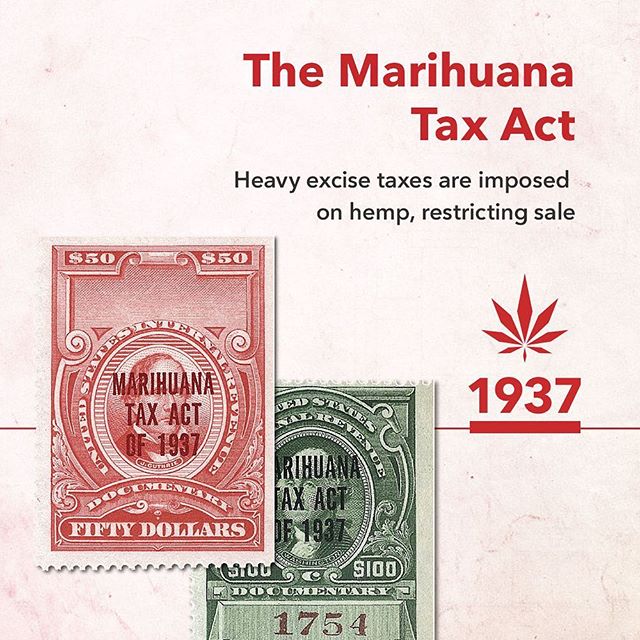 MedMen The Strip (Paradise & Harmon) Website