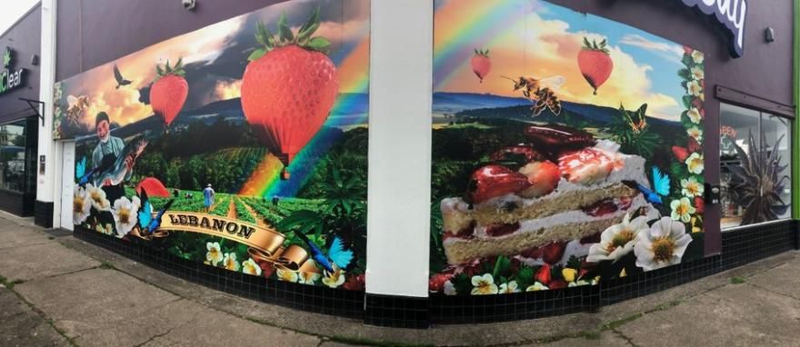 Mr. Nice Guy - Lebanon Website