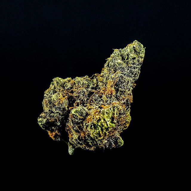 Strawberry Fields Colorado Springs Website