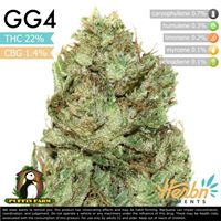 Herb(n) Elements Website