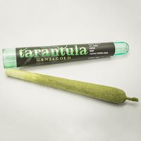 White Fire Delivery Website