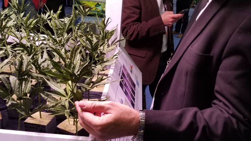 Whole Kosher Services Website