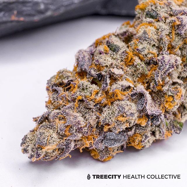 Treecity Health Collective Website