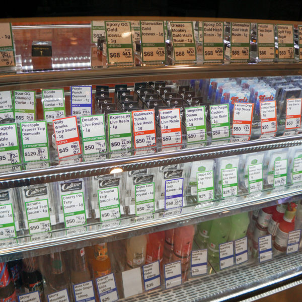 A Greener Today - Shoreline Website