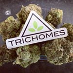 Trichomes Website