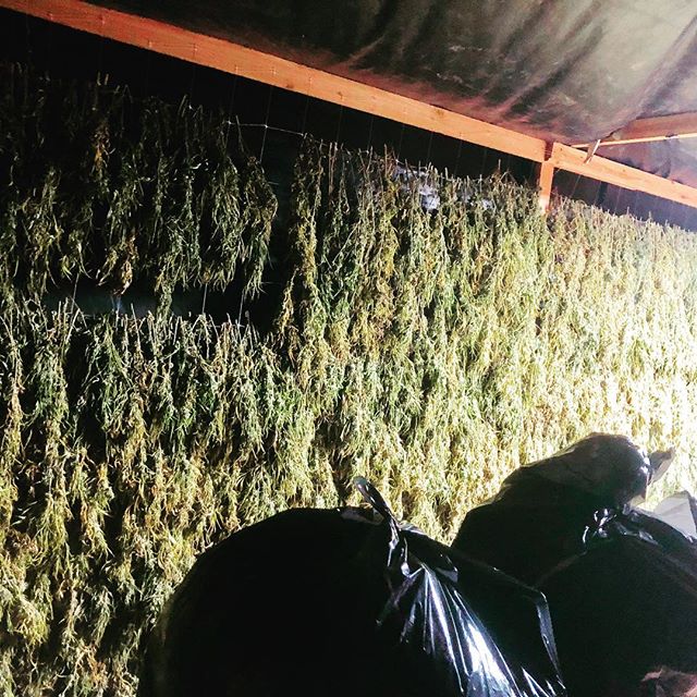 Highway 420 Seaside Website