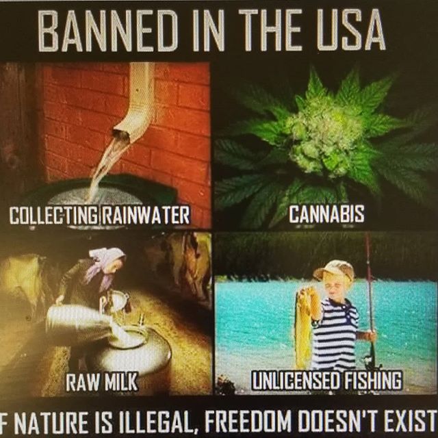 Better Life Doctors Website