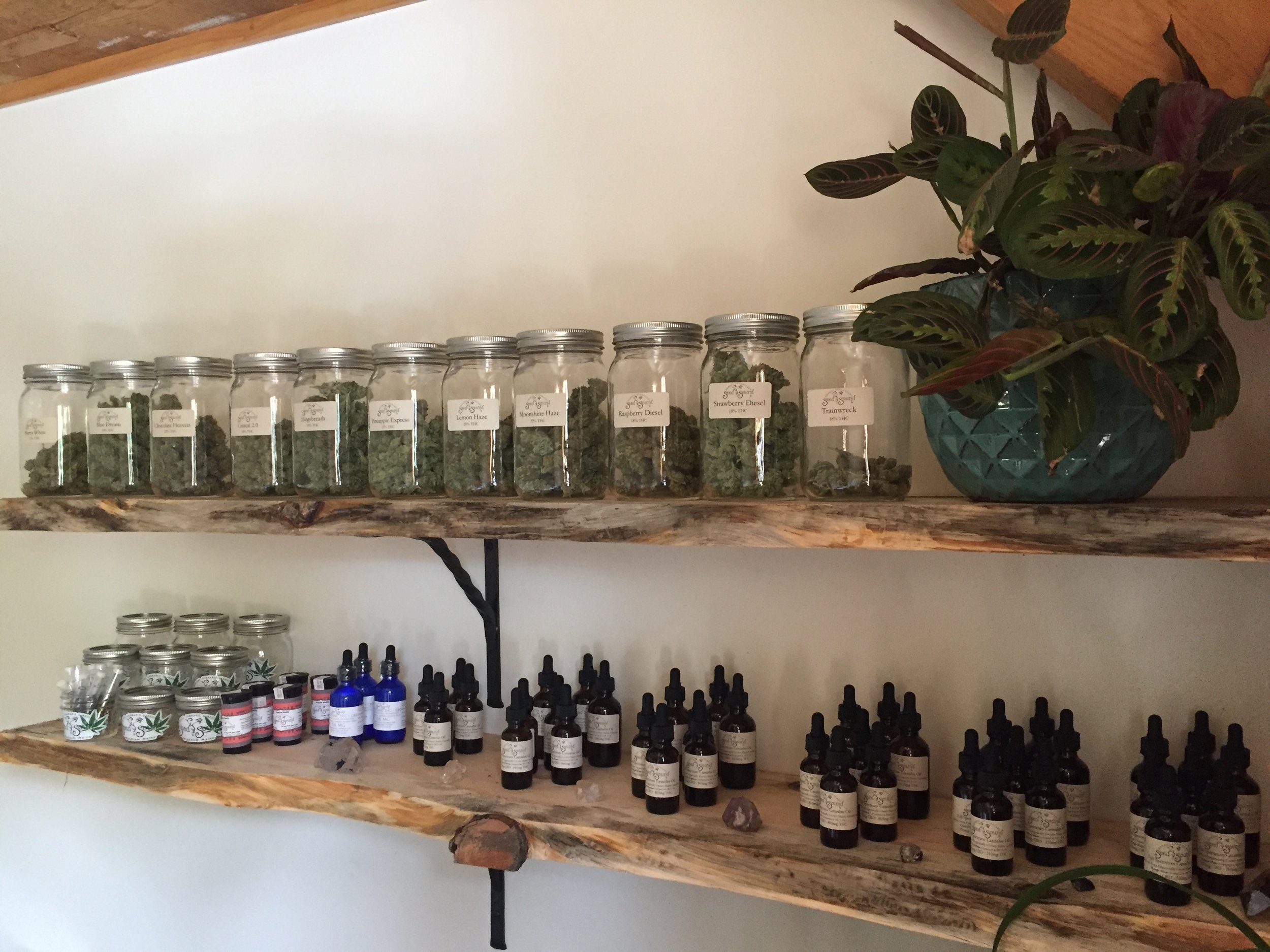Seed Sound Herbal Apothecary Website