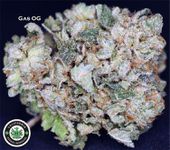 LOS ANGELES KUSH - EAST LA Website