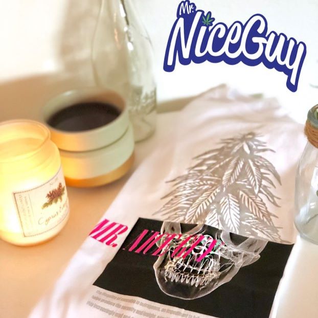 Mr. Nice Guy - State St. Website