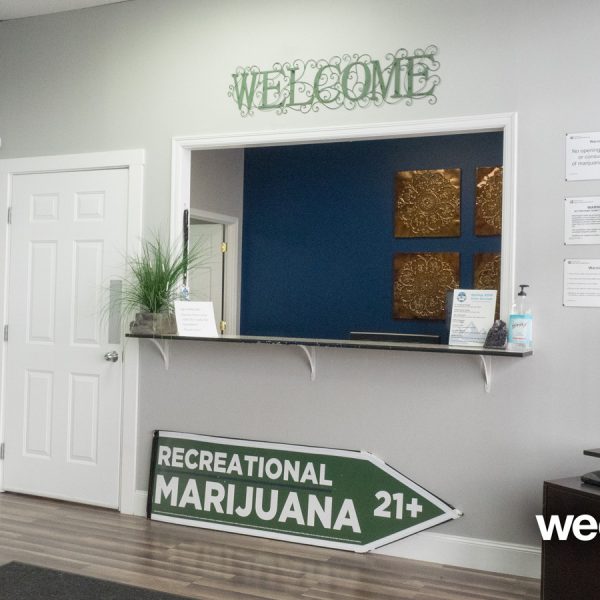 A Greener Today - Lynnwood Website