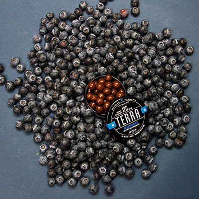 Level Up Powered by MedMen Website