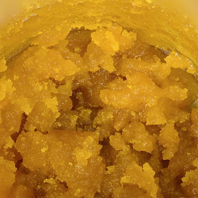 Desert Bloom Releaf Center Website