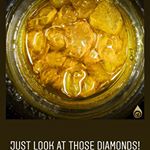 Lightshade - 6th Avenue Website