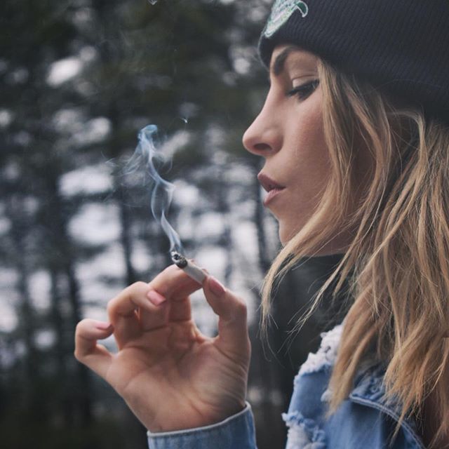 Grass Monkey Cannabis Company Website