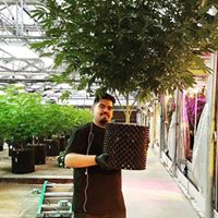 Ultra Health - North Valley Website