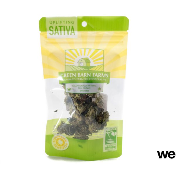 A Greener Today - Lynnwood Website