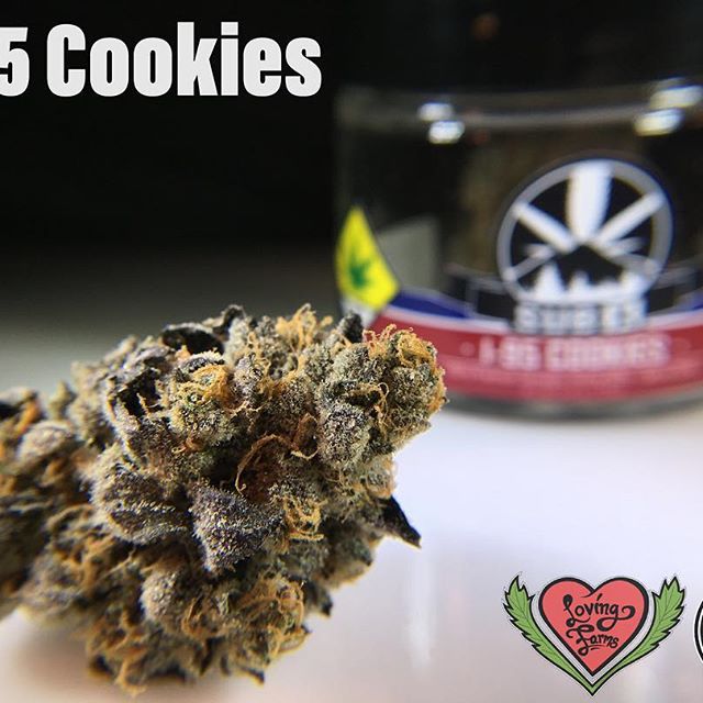 Loving Farms - Mount Vernon Website