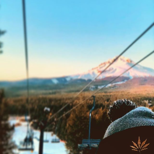 Nectar - Salem Website