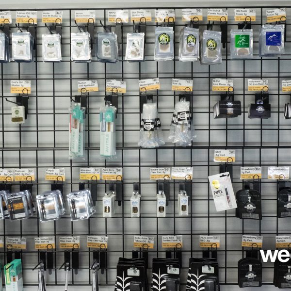 A Greener Today - Lynnwood Website