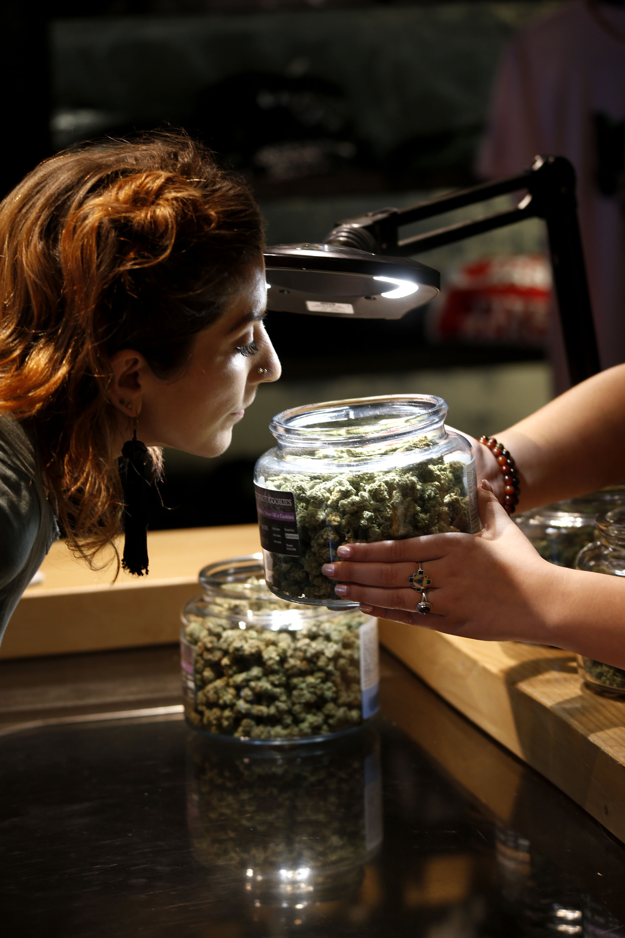 Five Zero Trees West Website