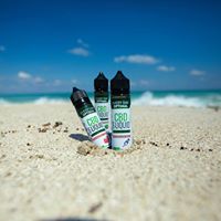 Every Day Optimal Website