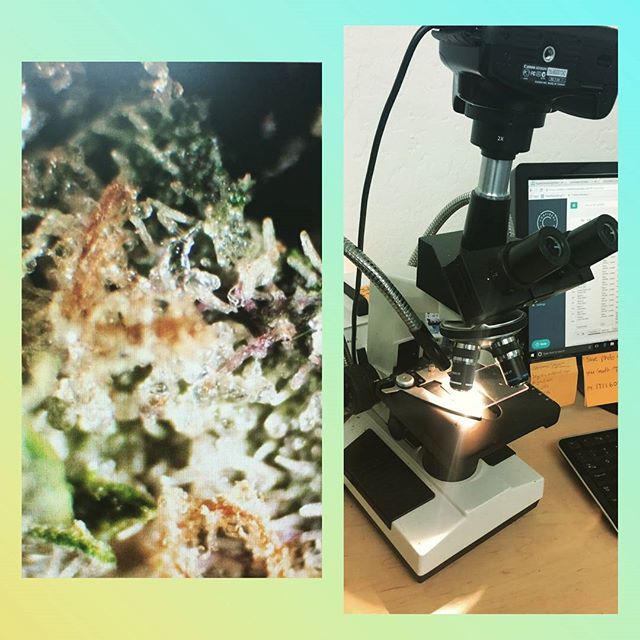 The Sequoyah Group, LLC Website