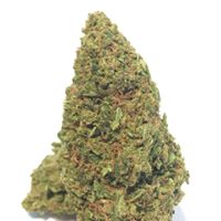 Foothill Grove Nursery Website