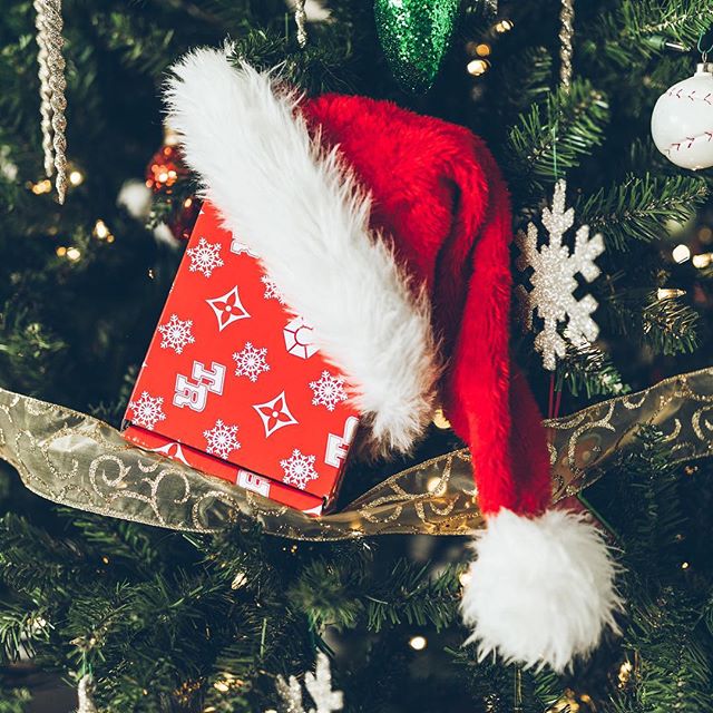 Emerald  Phoenix Website