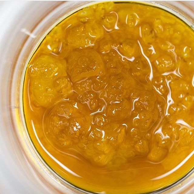 Rooted In Trinidad Website