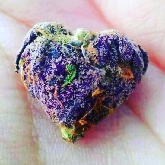 Buds & Cream Website