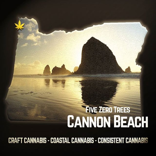 Five Zero Trees East Website