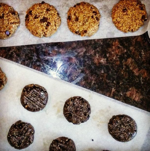 Jade Lion Gardens - Berkeley Website