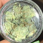 Kush21 - Pullman Website