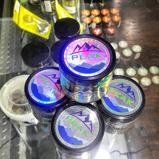 Elite - Lacey Website