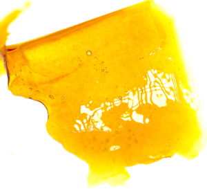 The THC collective Website