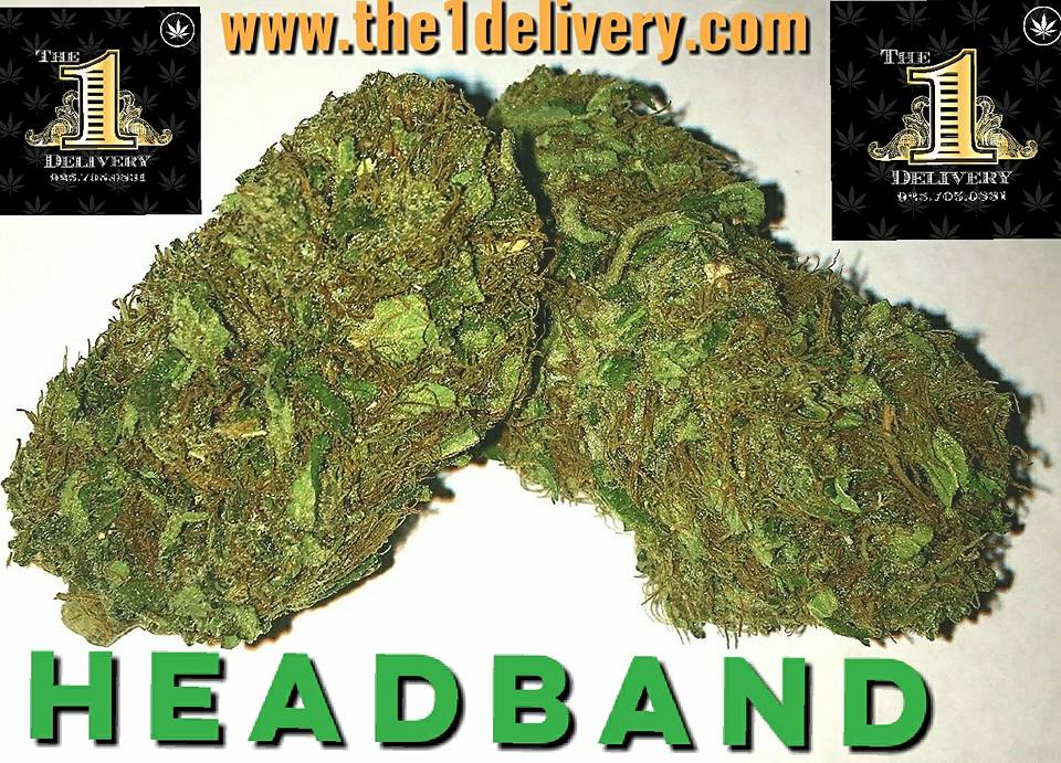 The 1 Delivery Service - Concord Website