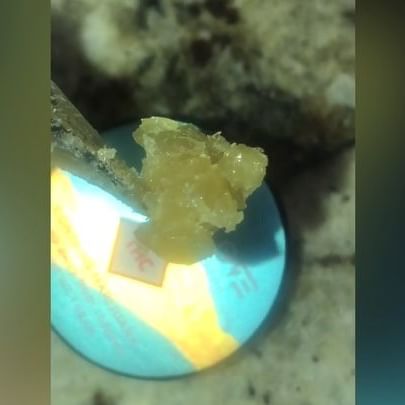 Sacred Seed Medical Dispensary Website