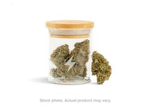 American Mary - Seattle Website