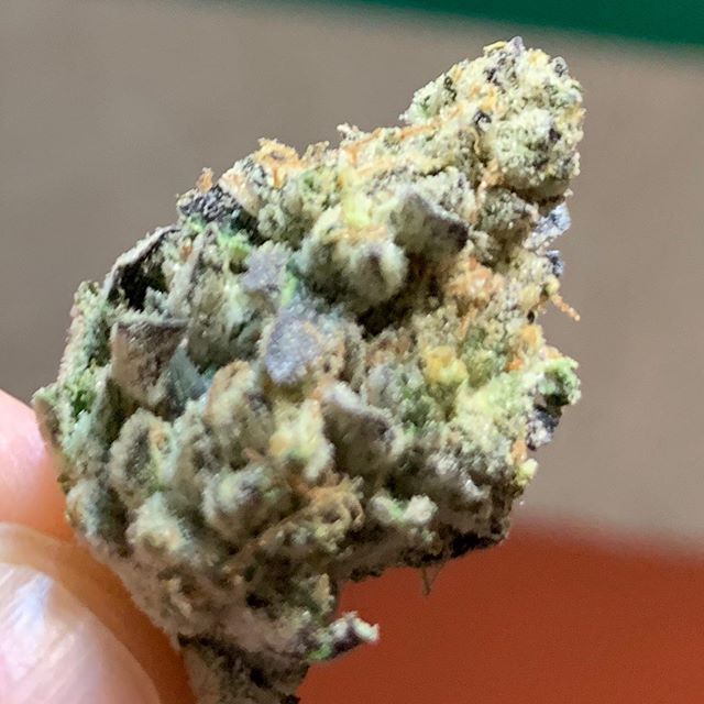 Freedom Market Longview - Recreational Website