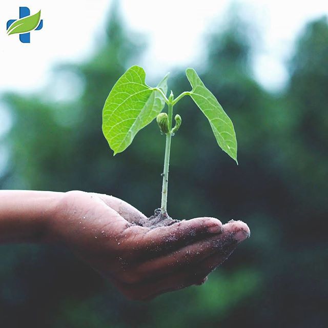 Natural Health Services - Calgary Website