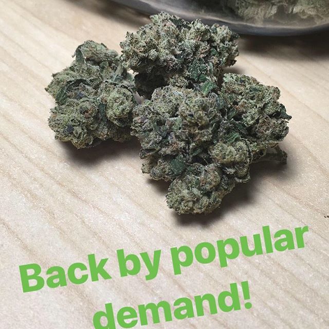 Harvest House Nederland Website