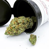 Diego Pellicer - South Denver Website