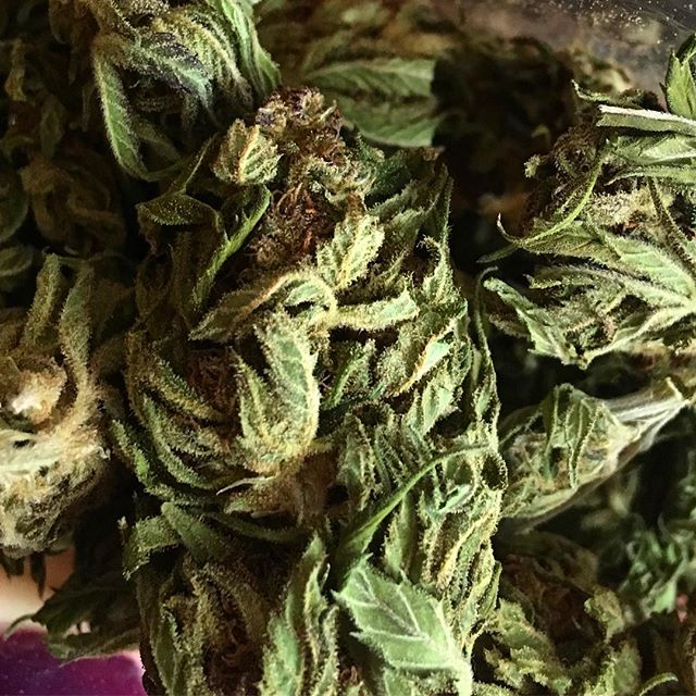 MMJDoctorOnline.com - Hayward Website