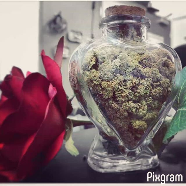 Nature's Medicines - Phoenix Website