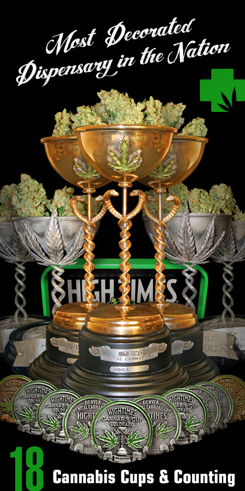 MMJ America in Denver - Downtown Website